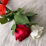 Maria Caneda - @caneda780 - Instagram