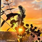 Maria-Louise Canning - Facebook
