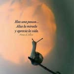 Maria Cante - @cante280 - Instagram