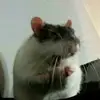 marianacapaldi_ - @marianacapaldi_ - TikTok