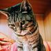 Maria Cappelli - Facebook