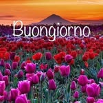 Maria Cappelli - @maria.cappelli.543 - Instagram