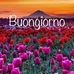 Maria Cappelli - Facebook