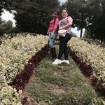 Maria Carchi - @mariacarchi - Instagram