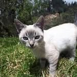 Maria Carchi - @marycarchi7974 - Instagram