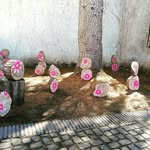Maria Vergés Casellas - @mariavergescasellas - Instagram