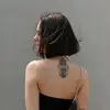 mariacastellanos - @mariacastellanos_ - TikTok