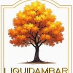 Maria Castelli - @liquidambr_ - Instagram