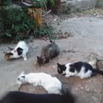 Maria Catrambone Maria Catrambone - @catrambonemaria_00 - Instagram