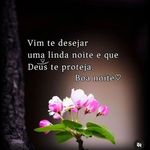 Maria Catron Pinto - @mariacatronpinto - Instagram