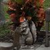 Marcia Causey - Facebook