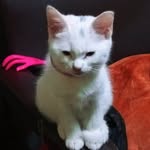 Maria Cavaco - @cavaco57 - Instagram