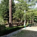 Maria Cavaco - Facebook