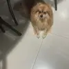 ma💖 - @maria.cavalieri5 - TikTok