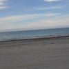 Maria Cavanaugh - @maria.cava250 - TikTok