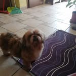 Maria Cecchini - @maria.cecchini.75 - Instagram