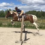 Bara massa häst - @mariacederlundse - Instagram