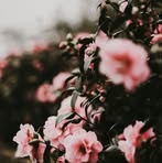 Maria Cedeño - Facebook