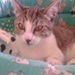 Maria Celli - @celli_maria - Instagram