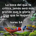 Mari Chamale - Facebook