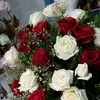 Maria Chamalé - @maria.chamal - TikTok