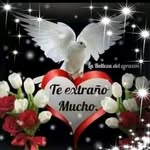 María chamalè - @chamale_maria - Instagram