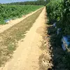 mariachamale82 - @maria.chamale51 - TikTok