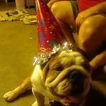 Maria Chaplin - @mchaplin0415 - Instagram