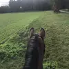 Maria Schappler - @maria.schappler - TikTok