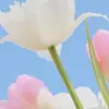 MARiA Chavez@🤣😎 - @mari.chavez647 - TikTok