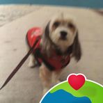 Maria Checo - Facebook