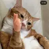 mariachew - @mariachew58 - TikTok