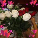 Maria Chiarello - @maria.chiarello.503 - Instagram