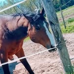 Maria Ciotti - @cicronia29 - Instagram