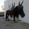 maria coble - @mariacoblemorera - TikTok