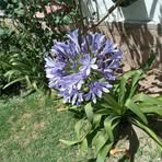 Maria Corradini - Facebook