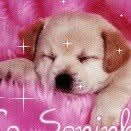 Maria - @mariacorujo2014gmailcom - Instagram