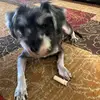 Maria Coss - @maria.coss56 - TikTok