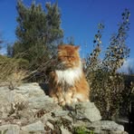 Maria Cosco - Facebook