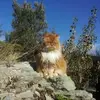 Maria Cosco - @maria.cosco - TikTok