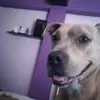María Costache - @mara.costache - TikTok