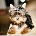 Maria Cotilla - Facebook
