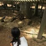 Maria Cottam - @cottammaria - Instagram