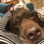 Maria Cottam - @mlcottam - Instagram
