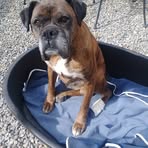 Marian Coughlan - Facebook