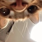 María Couoh - @maria.couoh.96930 - Instagram
