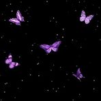 Maria Cravo - Facebook
