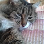 Maria Crespi - @maria.crespi.547 - Instagram