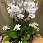 María Crespi - @crespi54 - Instagram