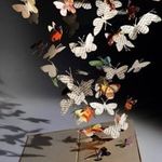 Rosa Maria Crisafi - @pensieri.parole.colori - Instagram